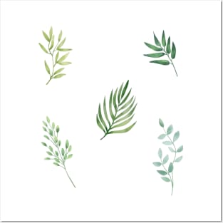 Simple Green Plant Drawing Posters and Art